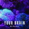 Your brain